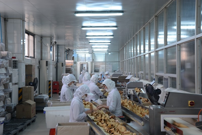 Stainless Steel Sugar Cone Production Line CB Series 380V 1.5hp 1.1kw