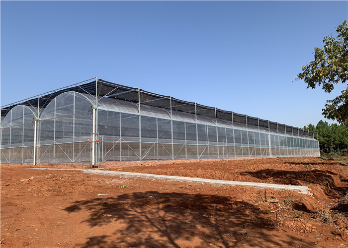 Galvanized Steel Frame Plastic Film Greenhouse Good Insulation Performance