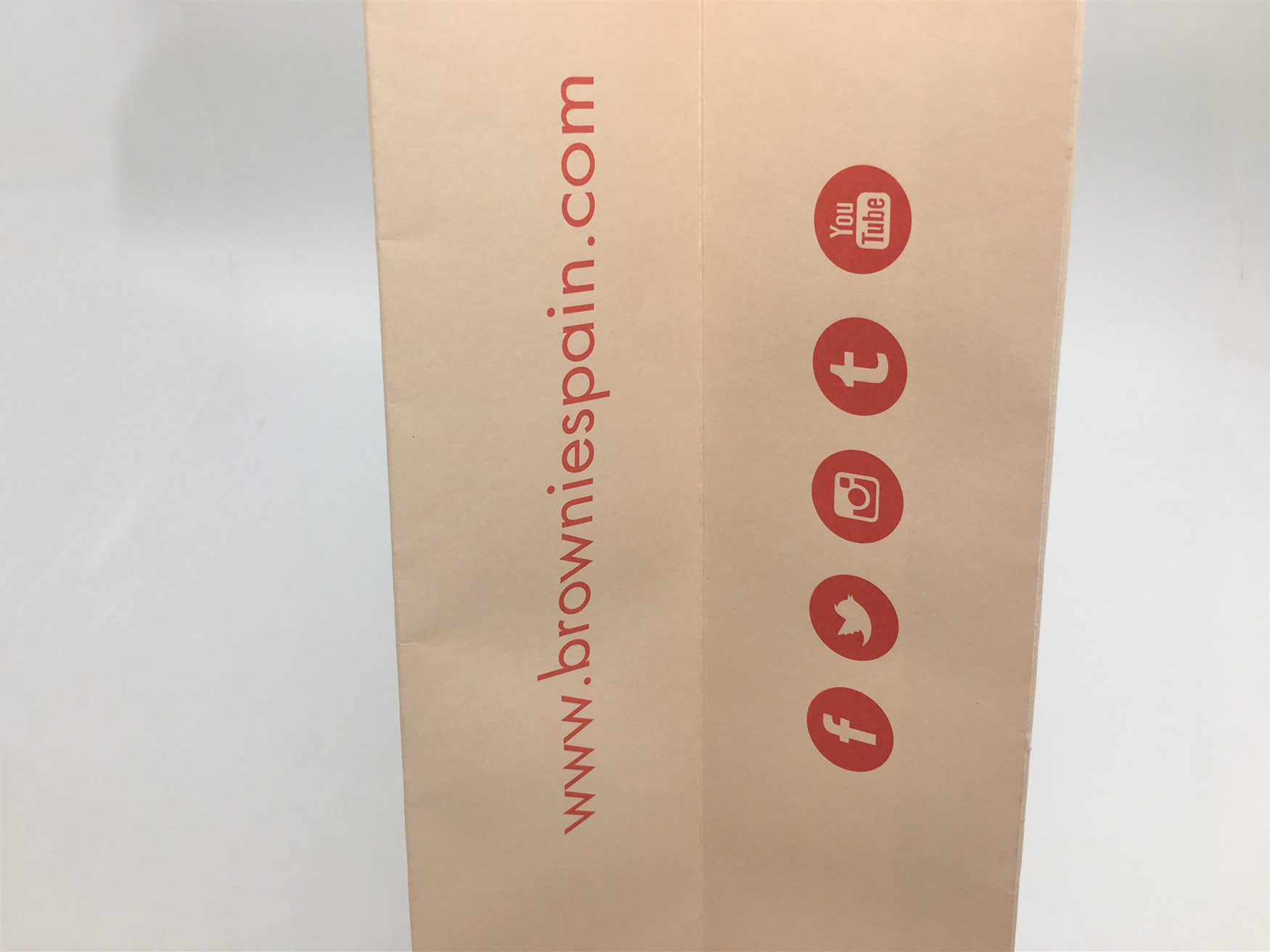 Personality Logo Fashion Shopping Bag / Kraft Paper Bags With Flat Cotton Handle