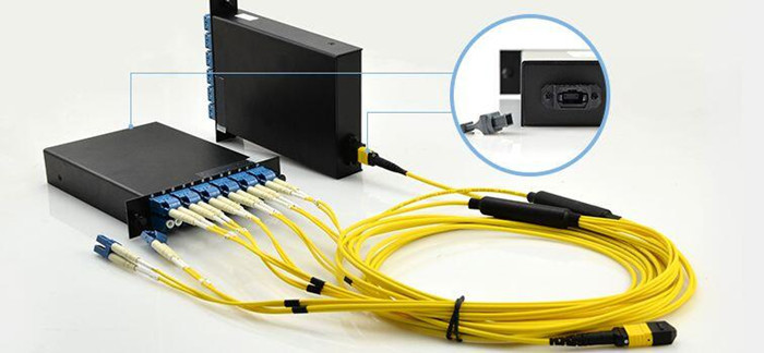 MTP/MPO Fiber Breakout Cable 12×LC Duplex Fiber Optic Exchange Cassette