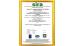 Guangzhou Dasen Lighting Corporation Limited Certifications