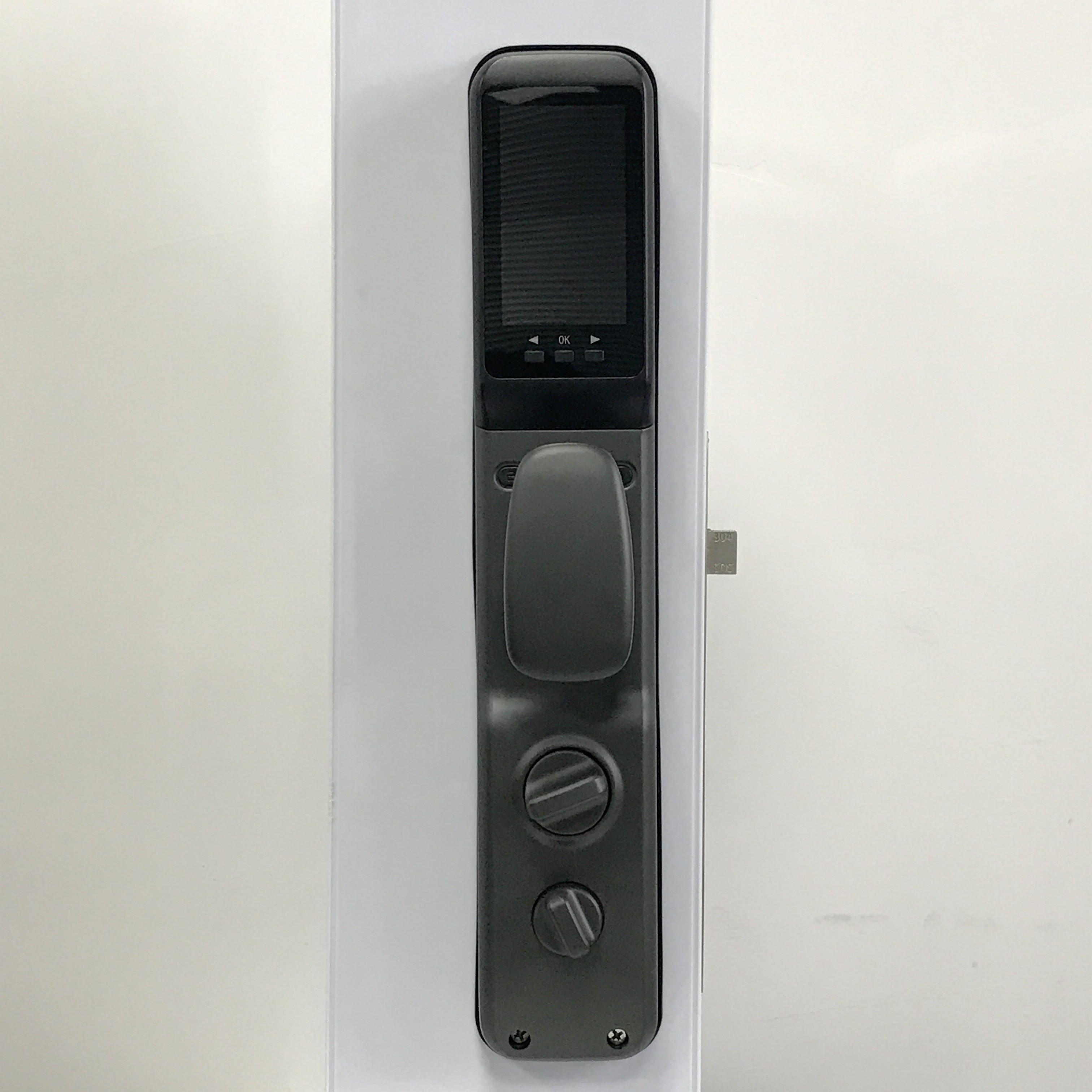 Password Fingerprint Keyless Smart Door Lock / Tuya APP Door Lock
