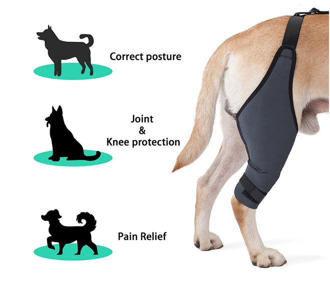 Anti Tear Dog Hock Protector Anti Vibration Dog Leg Brace For ACL Injury