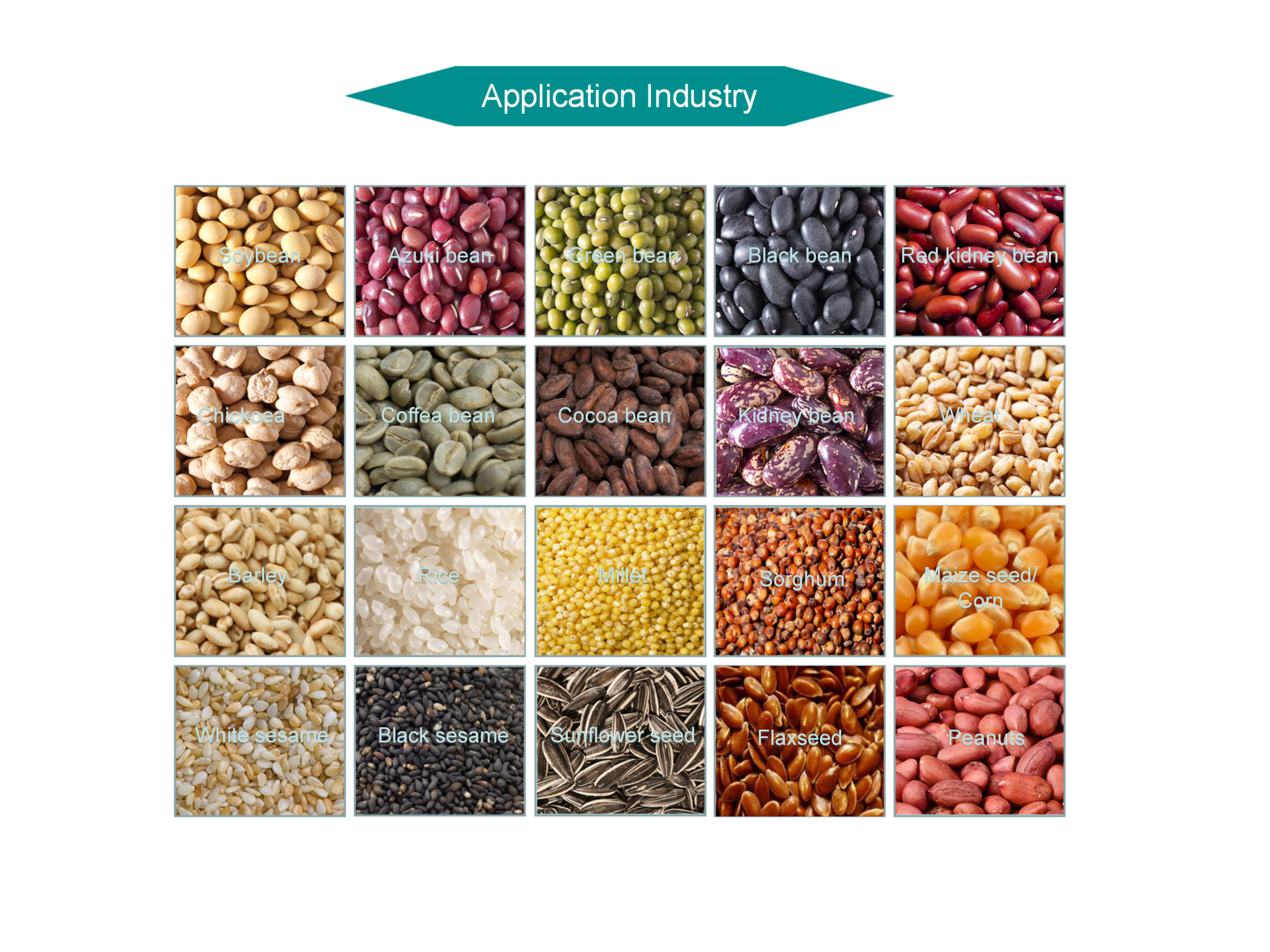 Paddy Rice Seed Soya Bean Cleaning Equipment Grain Processing Machine