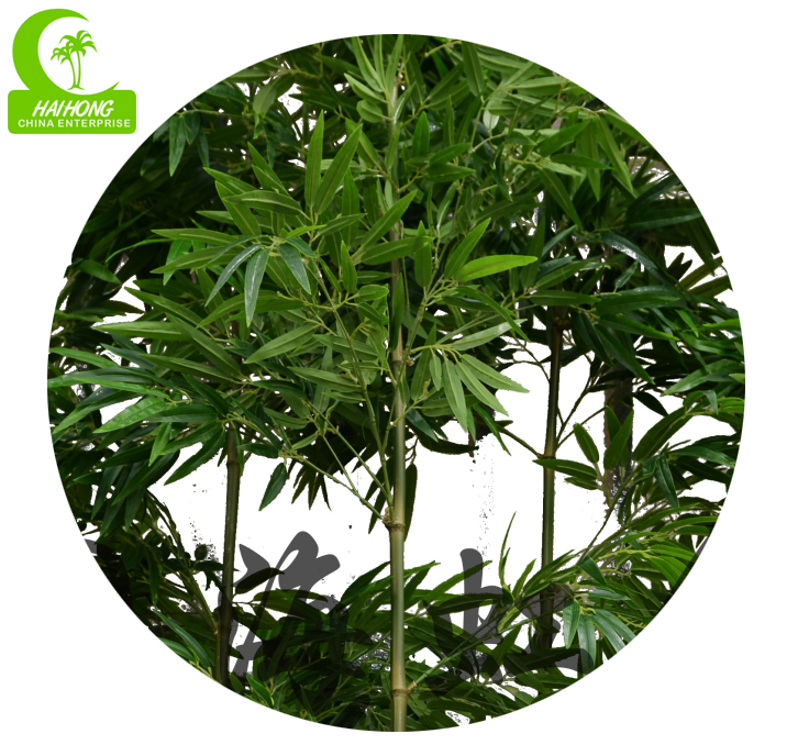  Bamboo Tree