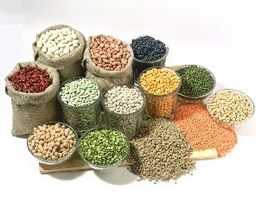 70Kg 2Kg/H Hydraulic Oil Press Machine Extraction Neem Manual 500g/Batch
