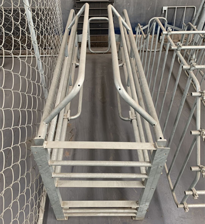 Safe And Strong Pig Birthing Crates , Breeding Crate For Swine Easy To Clean