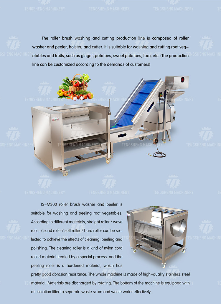 0.75KW 0.8 Tons / Hours Vegetable And Fruit Washing Machine