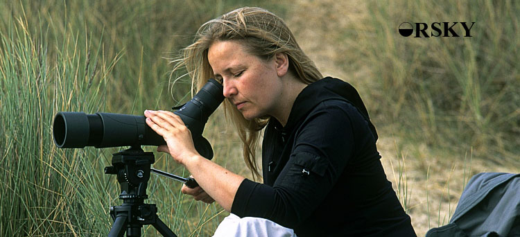 spotting_01.jpg