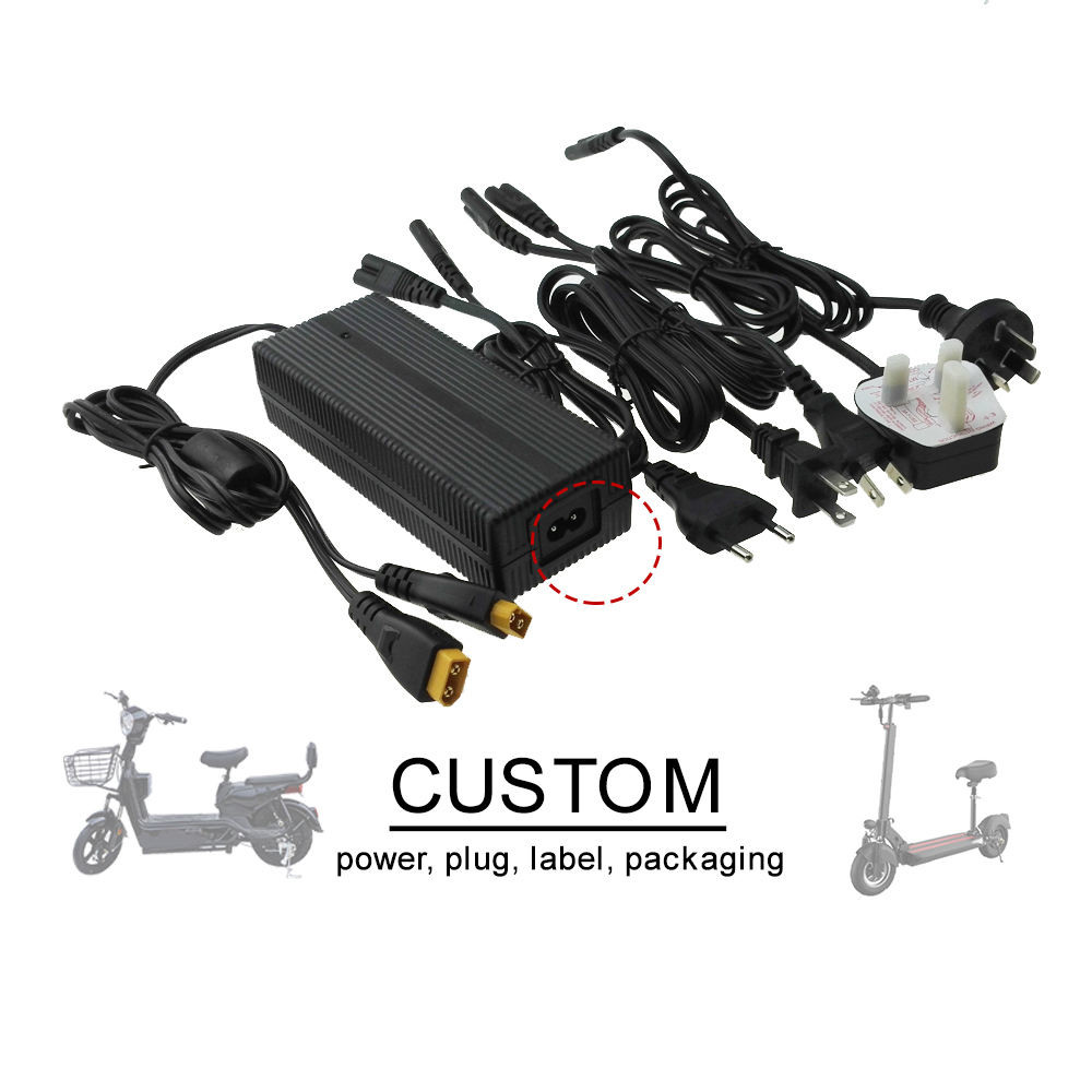 Lifepo4 Lithium Battery Accessories 12.6V 14.6V 42V 48V Charger For Drone E Bike