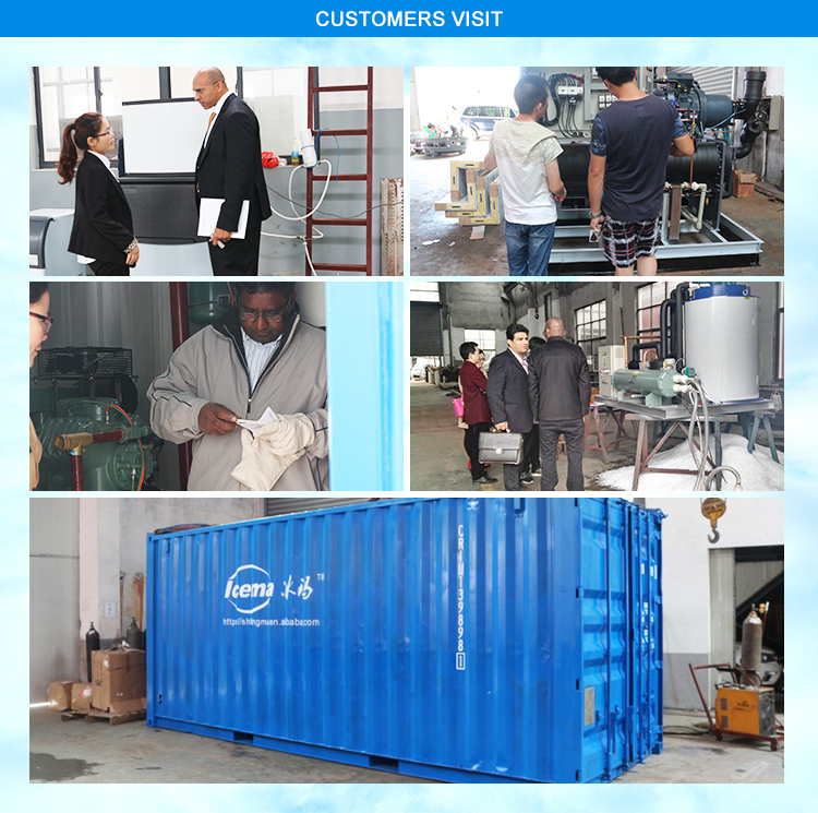 5T Brind Machine Shape Refrigerator Ice Block Moulding Machine