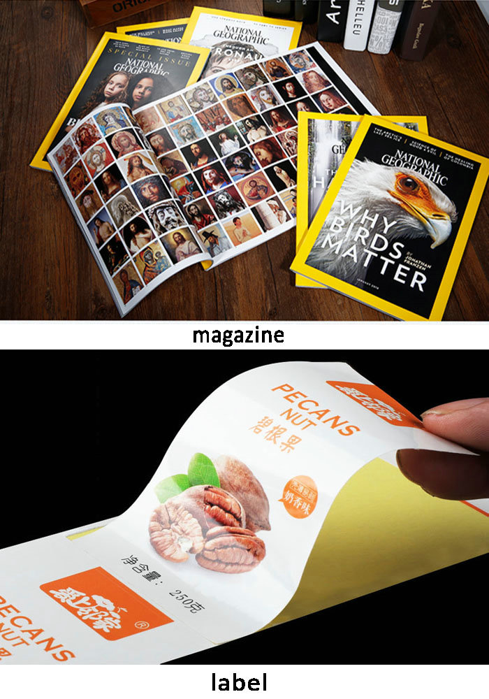 C1S C2S Papel Couche 135gsm - 350gsm High Glossy Coated Art Paper Reels 