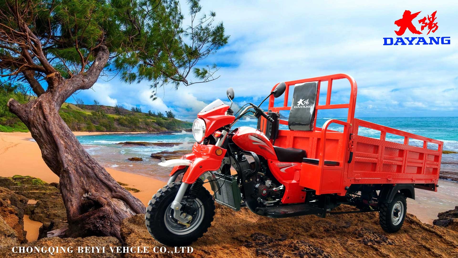 Water Cooled 200CC/250CC/300CC Single Cylinder Engine Cargo Tricycle for Heavy Loading