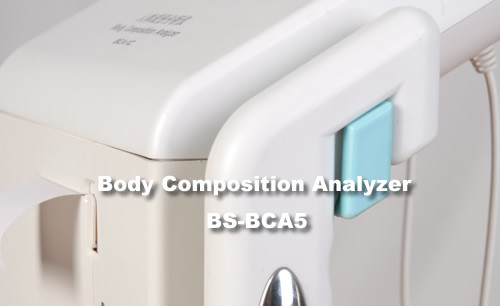 Body Fat Percentage Measurement Device