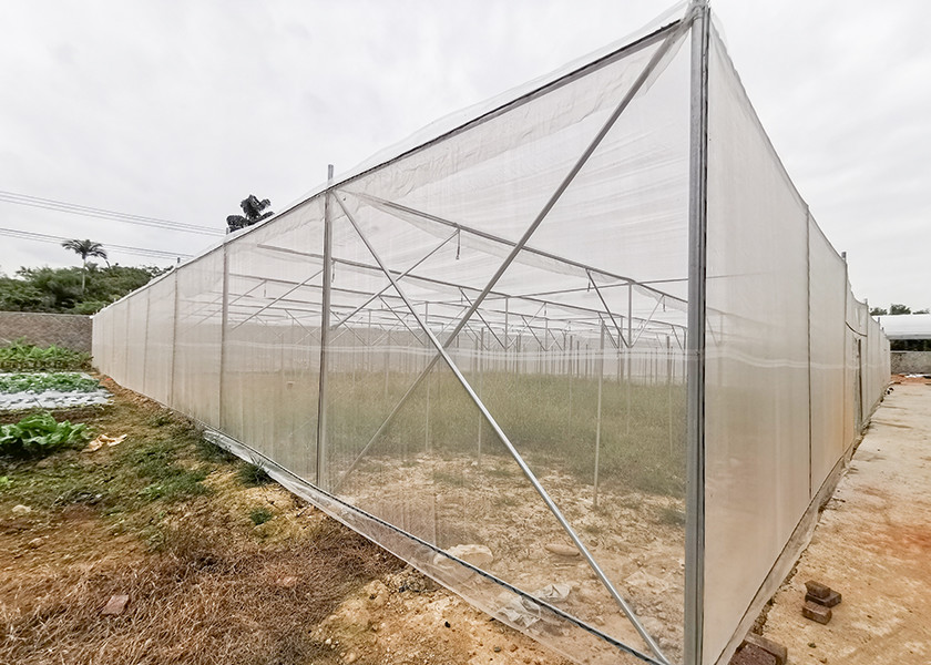 Horticultural Insect Net House Steel Frame For Flower Cultivation