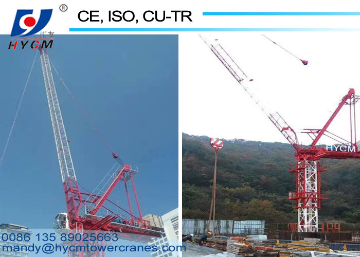 10t Building Luffing Tower Crane D5020 Model 50m Long Jib 2.0t End Load 2*2*3m Mast