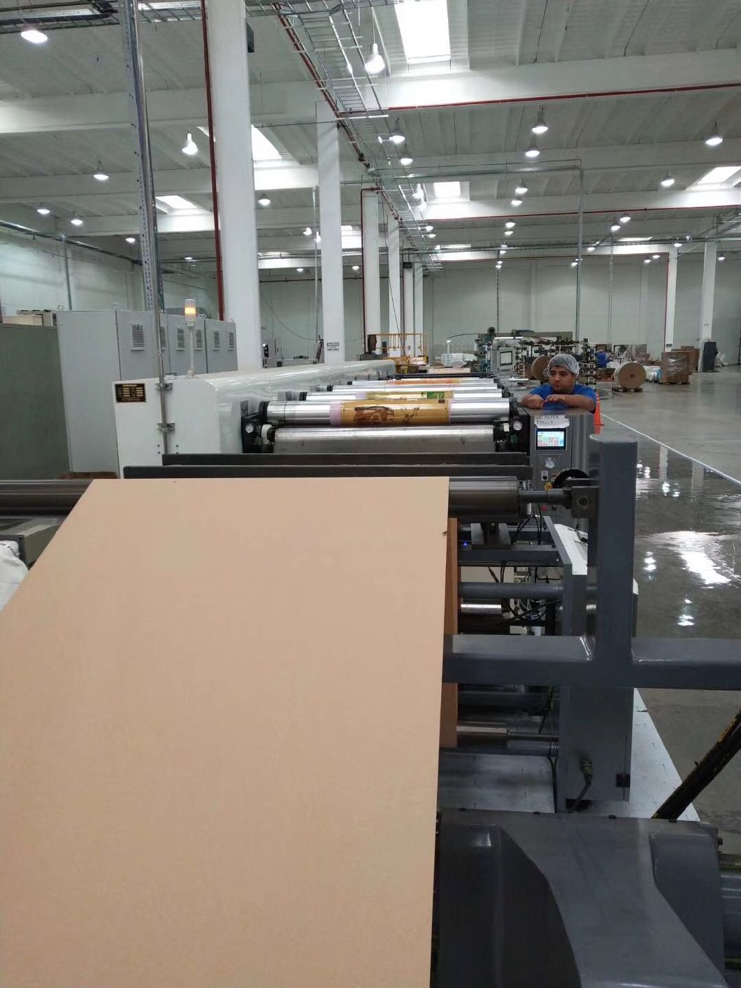 Paper Cup/ Paper Bag Flexo Printing Machine