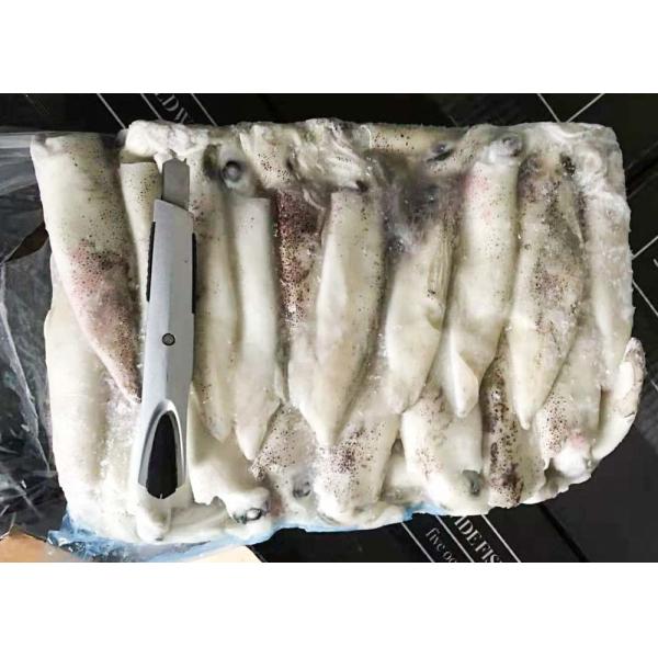 Brc Commerical Frozen Illex Squid Natural Color Health Certificate