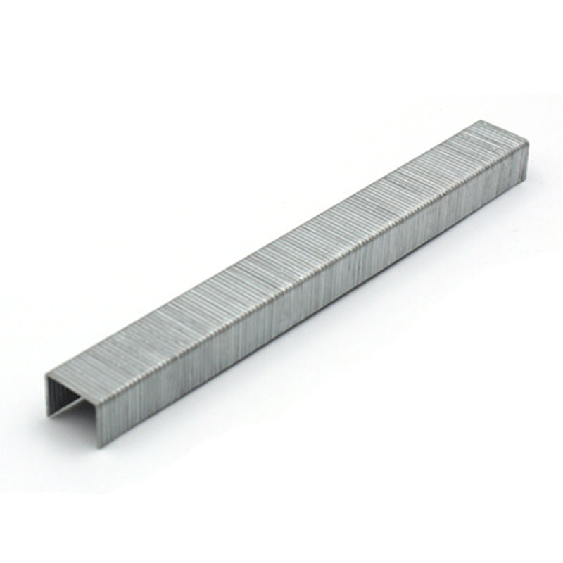 21 Gauge Staple 1/2 Crown 12mm 80 Series 8012 Furniture Decoration