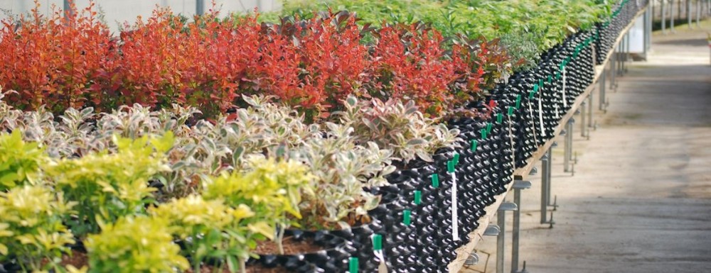 garden pots for sale planting pots cheap plant pot
