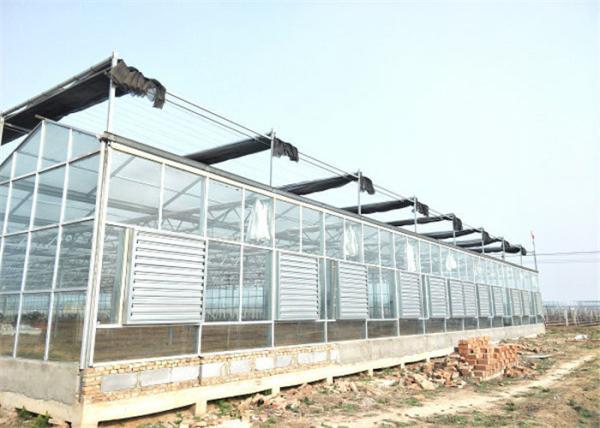 Simple Construction Agricultural Glass Greenhouse Venlo Type Greenhouse For