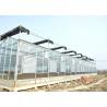 Buy cheap Simple Construction Agricultural Glass Greenhouse Venlo Type Greenhouse For from wholesalers