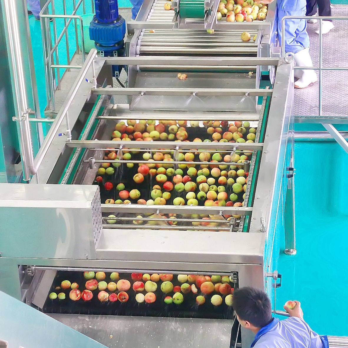 Fruit Juice Production Fruit And Vegetable Processing Device With SUS304 / SUS316 Steel