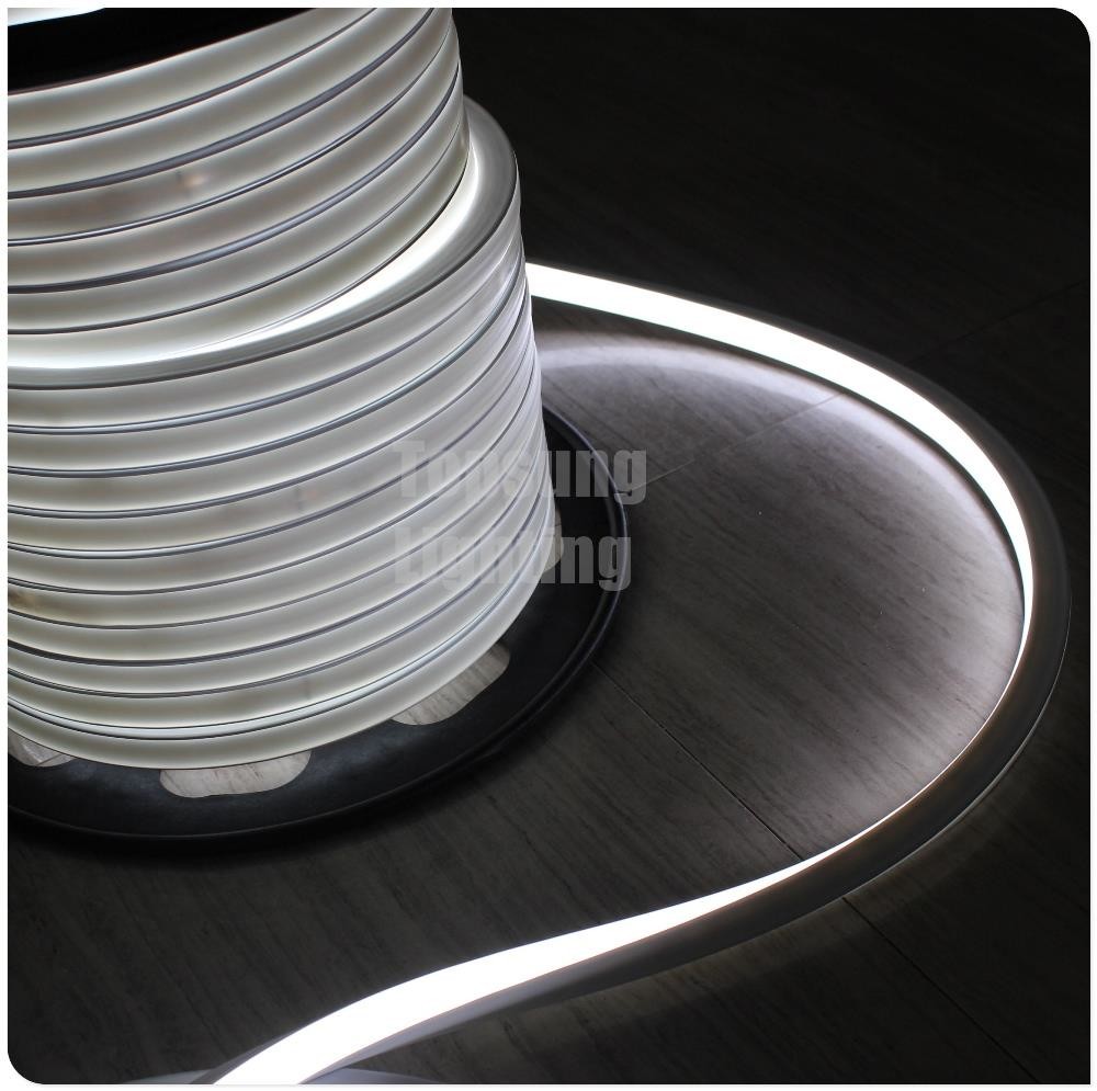 China DC 24V white led neon flex 16x16mm square shape flat neon rope IP68