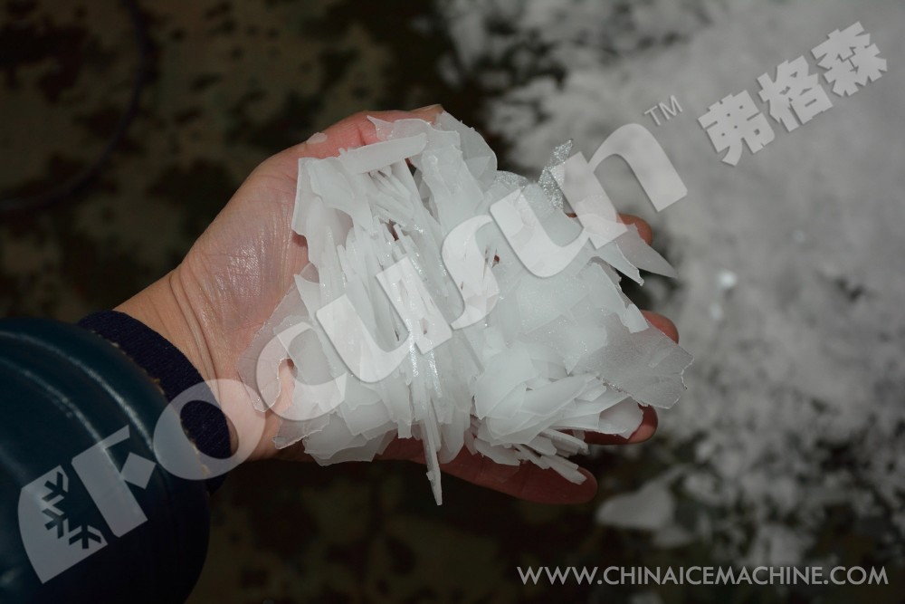 Industrial Cooling Solution 10T/Day Containerized Flake Ice Machine with Air Cooling