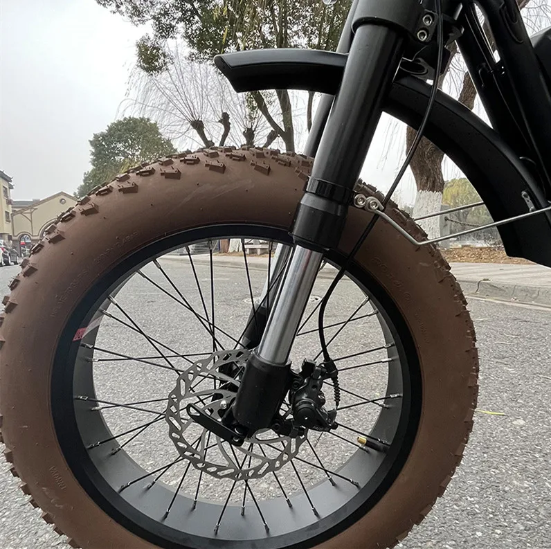 Rear Hub Motor 48V Electric Fat Tire Bike 20x4 Full Suspension Ebike For Adults