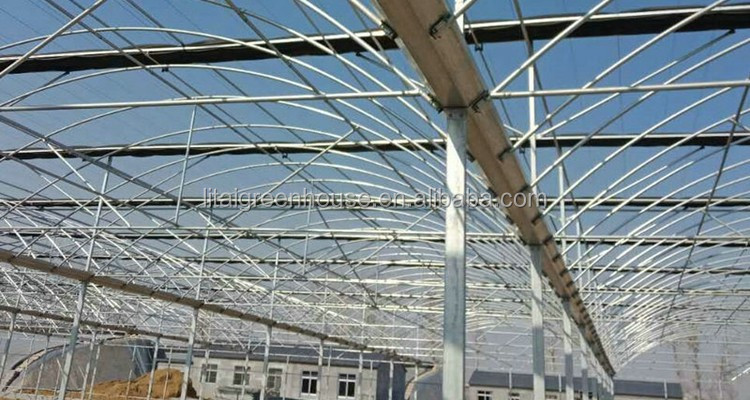 Large Hot Galvanized Steel Structure Gutter Connected Greenhouse with Height 3.0-4.8m