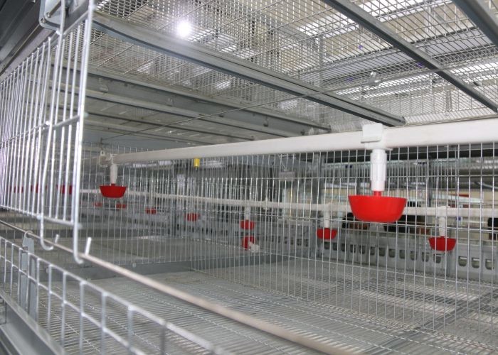 Recyclable Poultry Farm Water System Nipple Drinking Water Line Easy Use