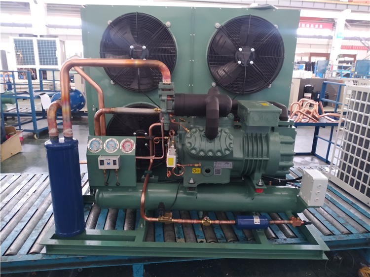 Industrial Refrigeration Cold Room Condensing Unit Compressor