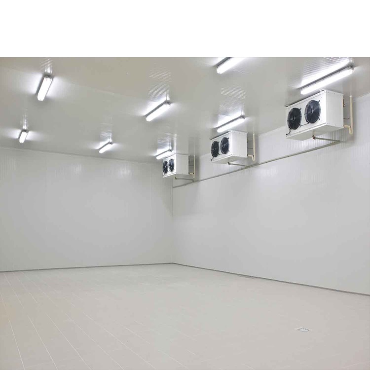 Gas station cold room refrigeration unit with PU panels