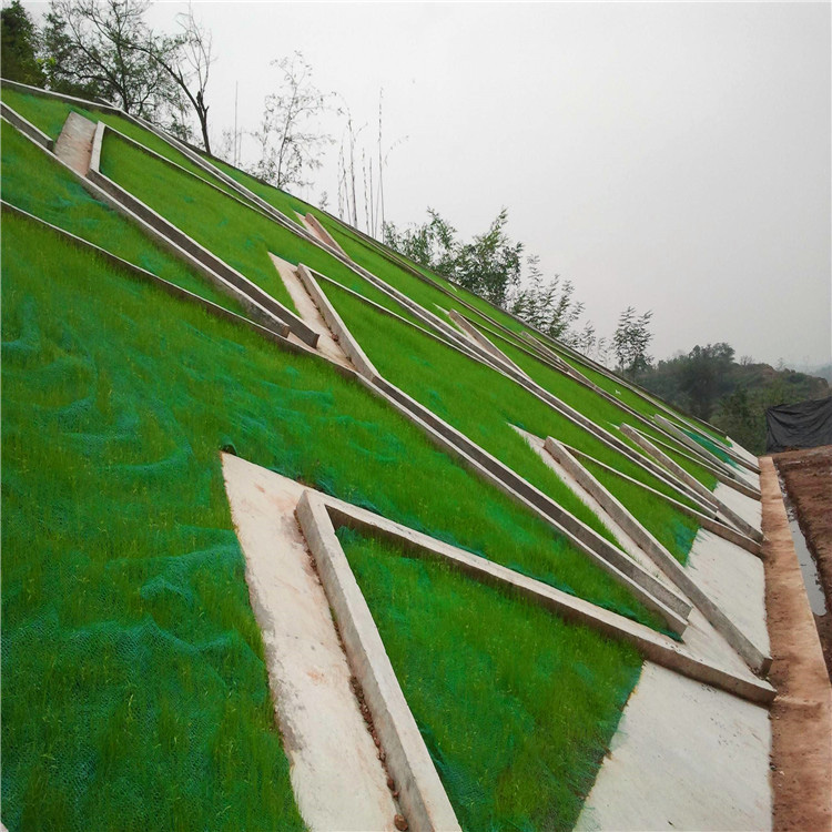 3D Geomat HDPE PE Plastic Net for 2.0m-2.5m Width Erosion Control and Drainage System