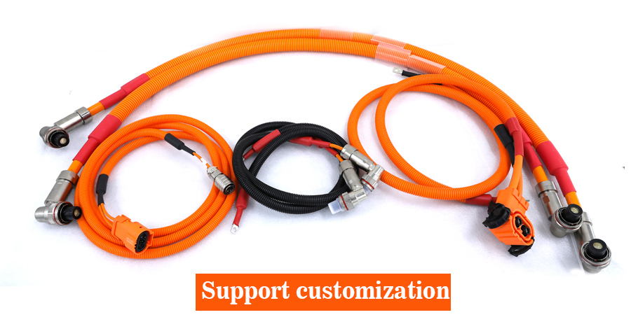 CTS Industrial Electric Vehicle Motorcycle Cable Assembly Car Wiring Harness