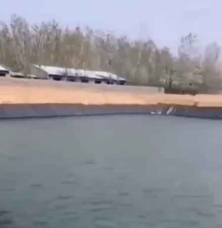 Industrial Design Style 1mm 0.8mm Biodigester Geomembrane for Fish Farm Pond Liner