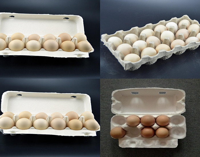 Automatic Egg Tray Machine Apple Tray Making Machine With 3000*2000*1800mm Dimensions