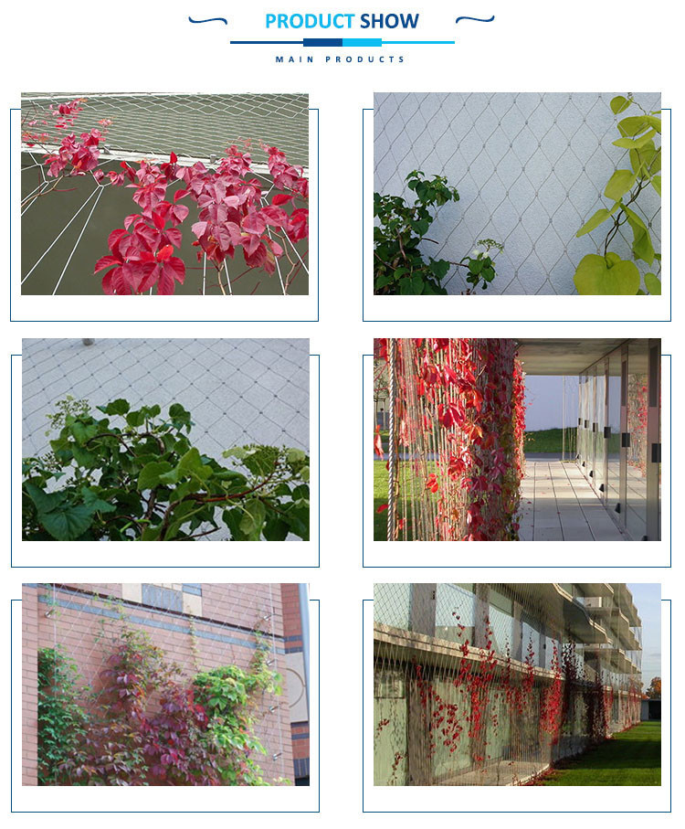 Flexible Green Wall Cable Trellis System , Green Wall Wire Trellis System