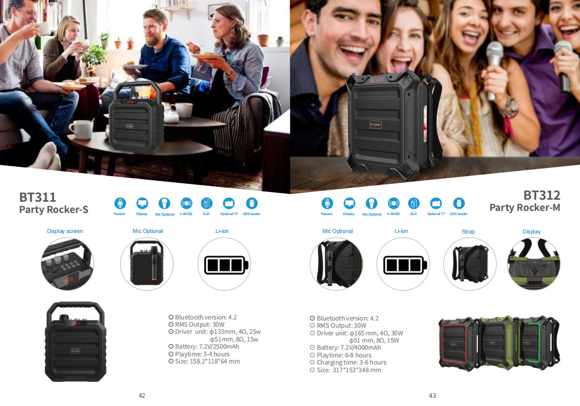 60W Waterproof IPX5 Bluetooth Wireless Speaker with TWS, DSP, TF Card, Equalizer & Subwoofer