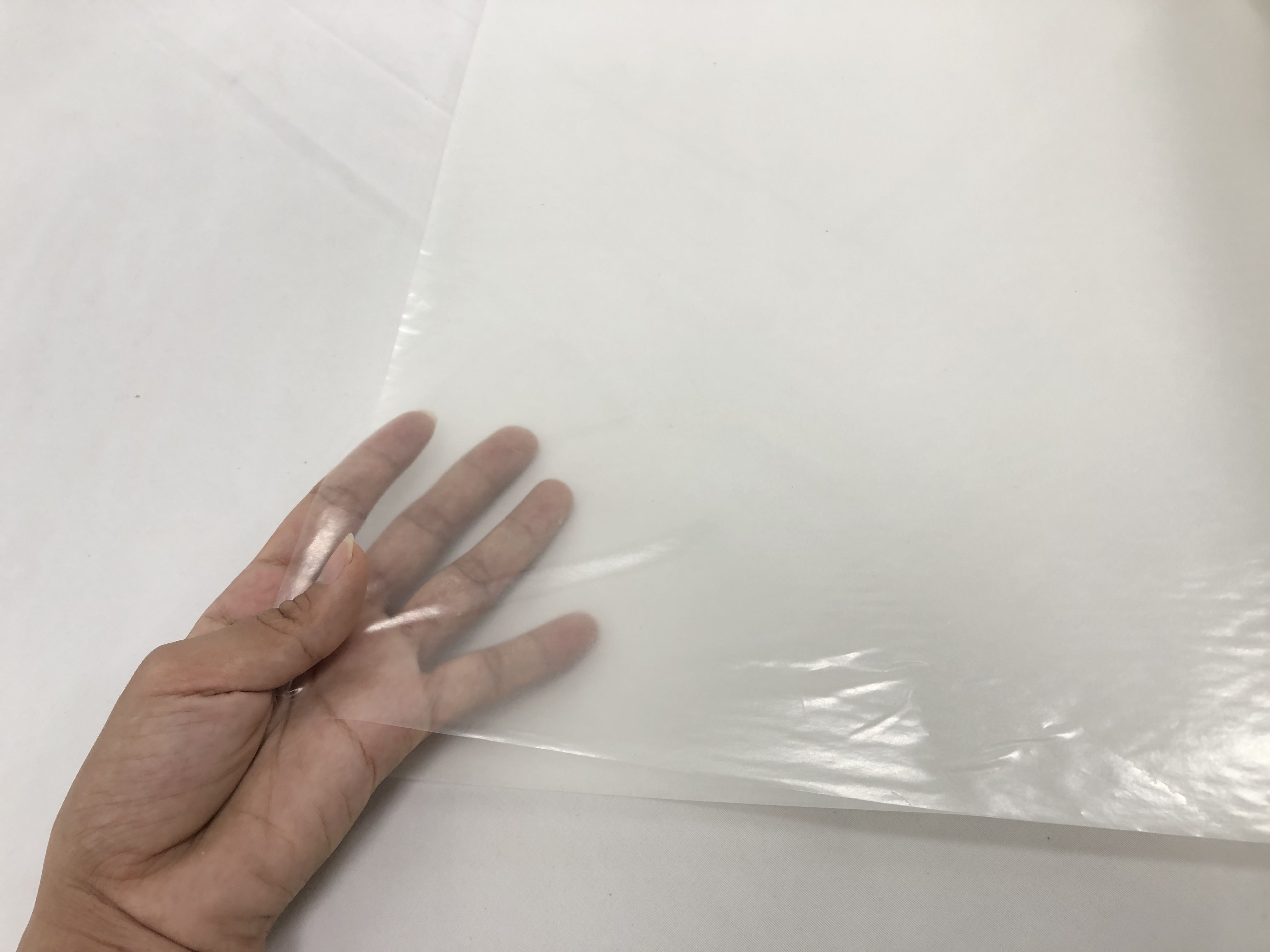 Textile Bonding Hot Melt Film No Sewing 8.5kg/roll 0.10mm With Release Paper