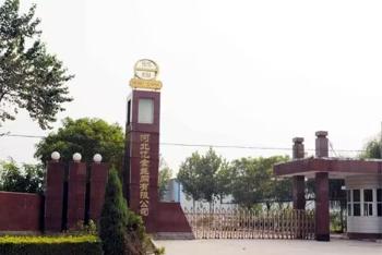 Hebei Reking Wire Mesh Co.,Ltd