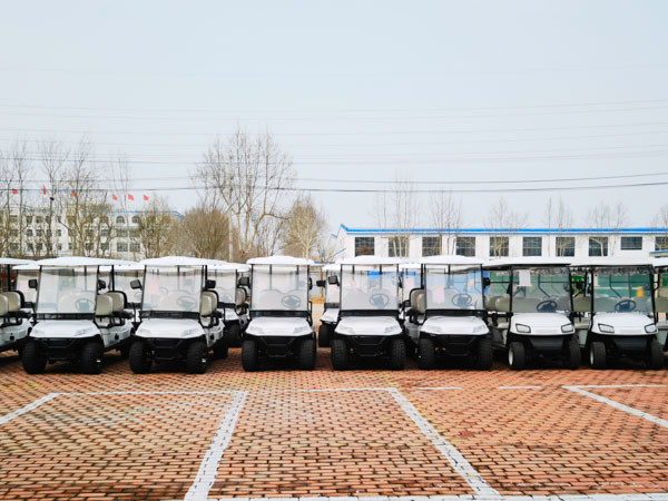 2021 Legal Street Aetric Community Sightseeiing Golf Carts 20Mph For Garden