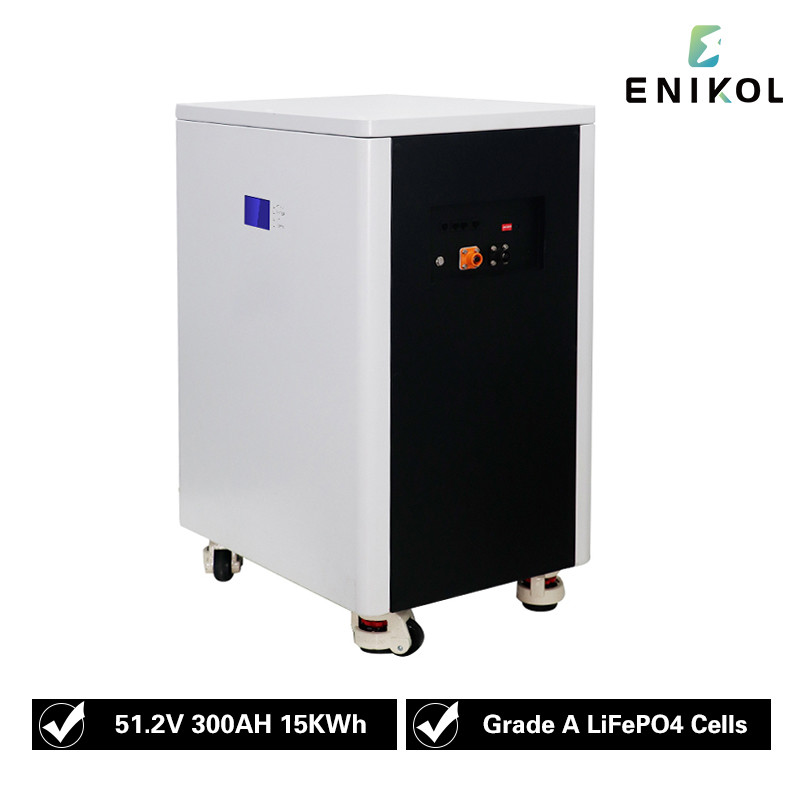 Long Cycle Life Lithium Iron Phosphate Battery with BMS for 48V Solar Systems