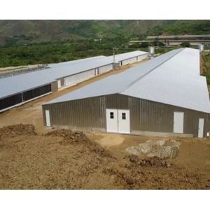 Prefab Light Steel Frame Construction Structure Modular Frame Chicken Poultry