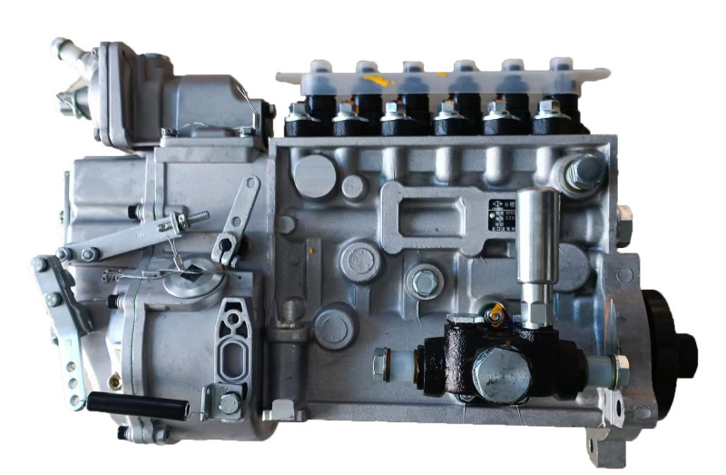Shacman F3000 Truck Part Wp12 Engine Fuel Injection Pump Assembly 612601080397