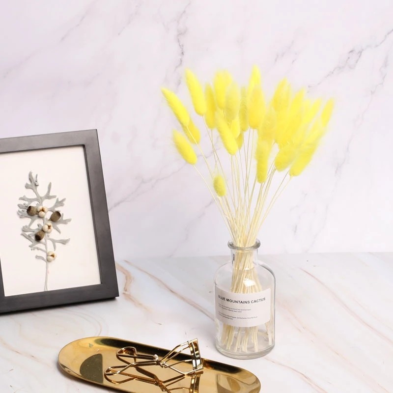 Wholesale Price Preserved Flower Dried Rabbit Tail Grass Decorative Flowers