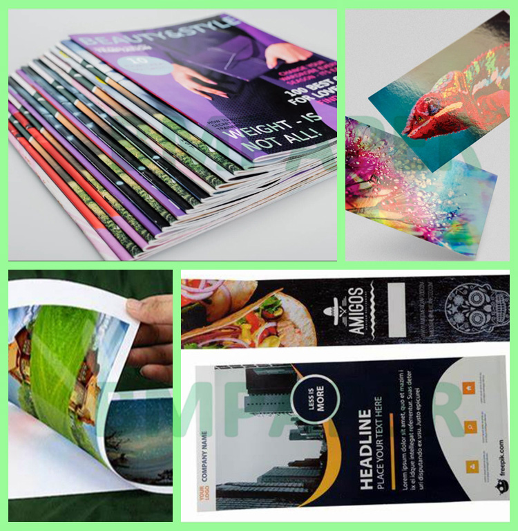  Double - sided Gloss 80lb 120gsm Digital C2S Paper For Brochures 450 x 320mm 