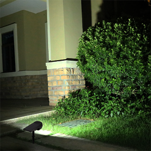 solar lights outdoor
