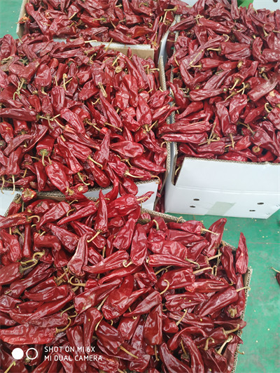 Dried Yidu Chili With Stem Grade A Dried Red Chile Pods